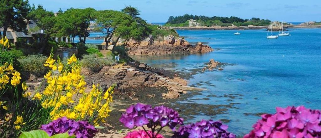 Manoir De Kertalg Hotell Moëlan-sur-Mer Exteriör bild